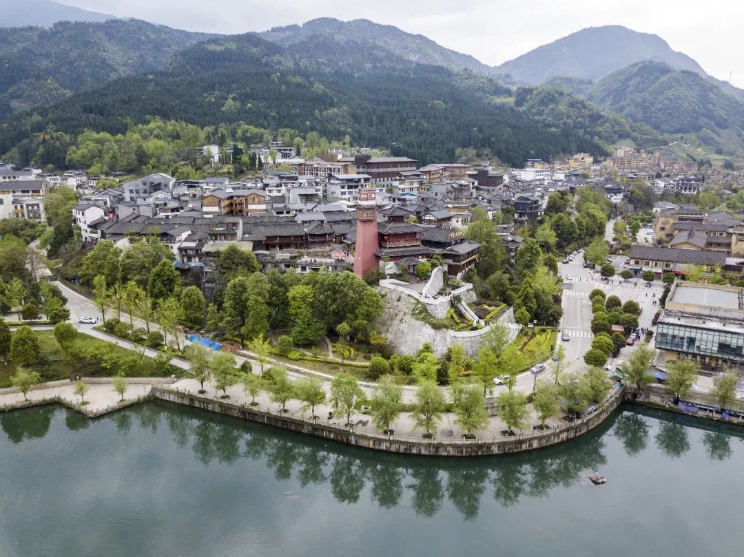 2017年4月7日,四川绵阳,北川羌族自治县桂溪镇境内古辛夷花药树林.