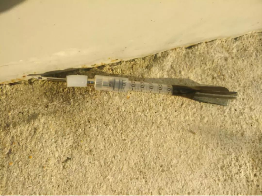 【恶性】南澳今早发生毒针毒狗事件!毒针毒性极大,望重视!