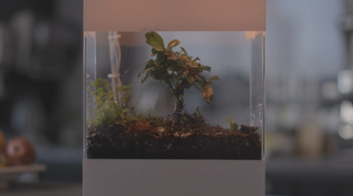 谷歌打造基于AI的玻璃容器 可展示世界天气