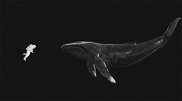 700_389gif 动态图 动图