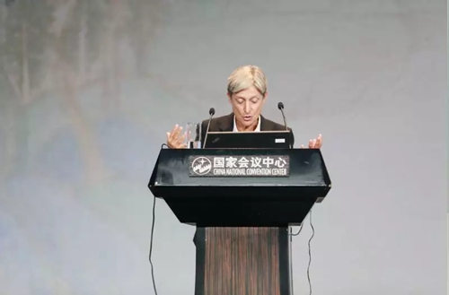 世哲大会波伏娃讲座巴特勒翻译中的性别超越单语主义