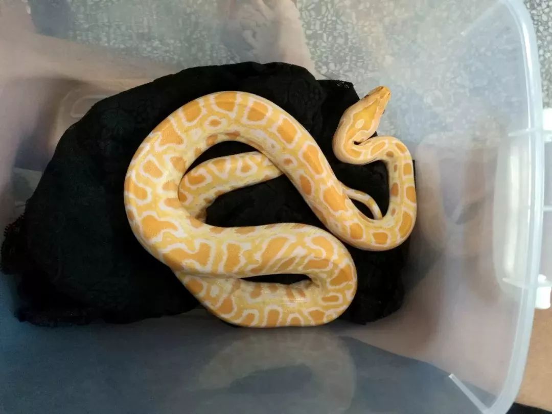 老天也开个愚人节玩笑今天长春最高温21语音版201841新闻速览