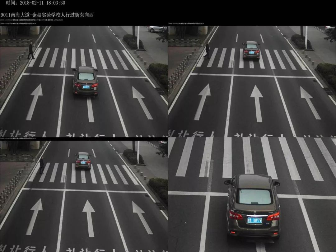 小岛君·曝光 | 一年内不礼让行人五次!这位车主你"榜上第一"了