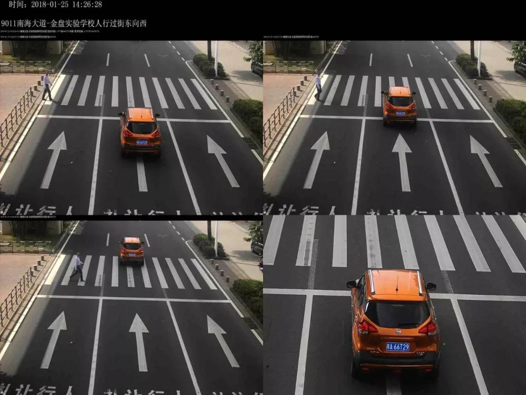 小岛君·曝光 | 一年内不礼让行人五次!这位车主你"榜上第一"了