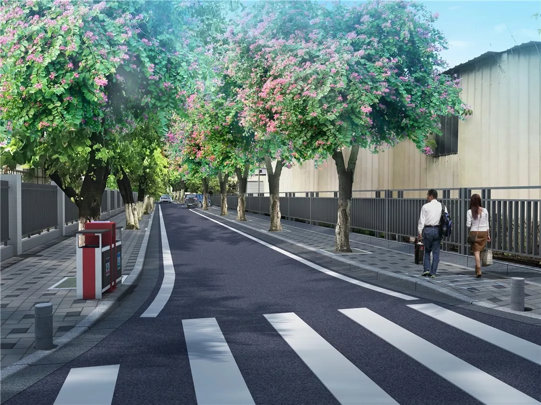 开挂!西区将迎15条道路改造升级!黄埔还将新增2条道路!