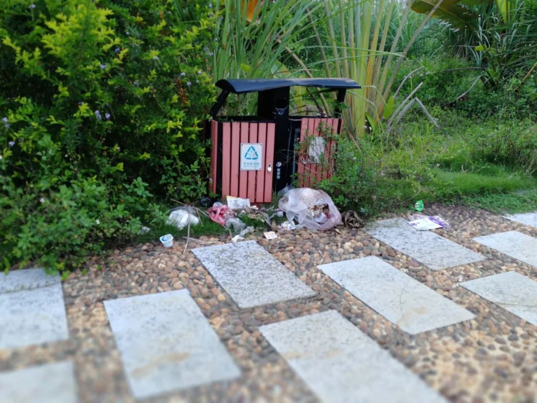 崇左这些小区不文明行为被曝光!还有这些道路和车辆|东源|绿地|崇左_