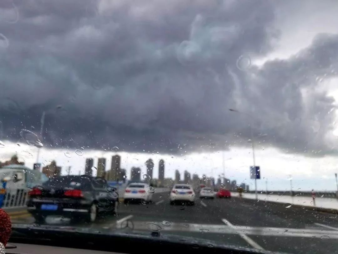 雷雨大風冰雹又掐點兒來了!黃色預警!這次光顧哪個區?丨天天玩蘿蔔蹲