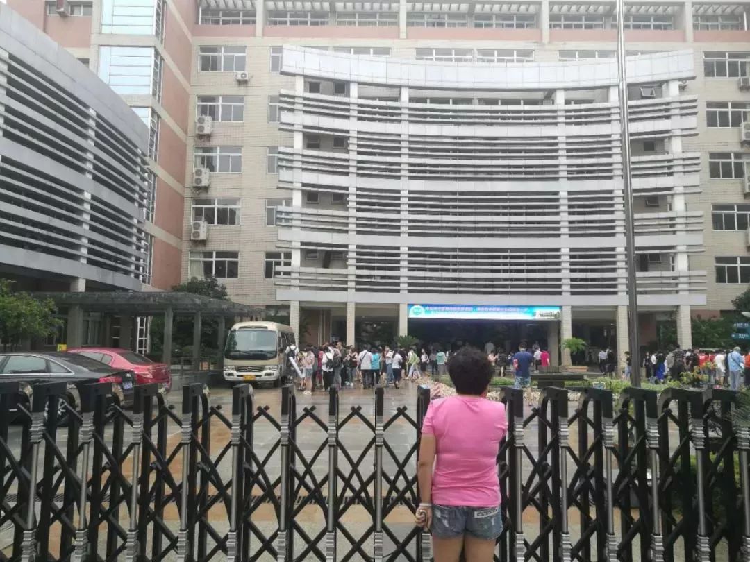 南外小升初放榜!381人被录取,附各小学考中人数!