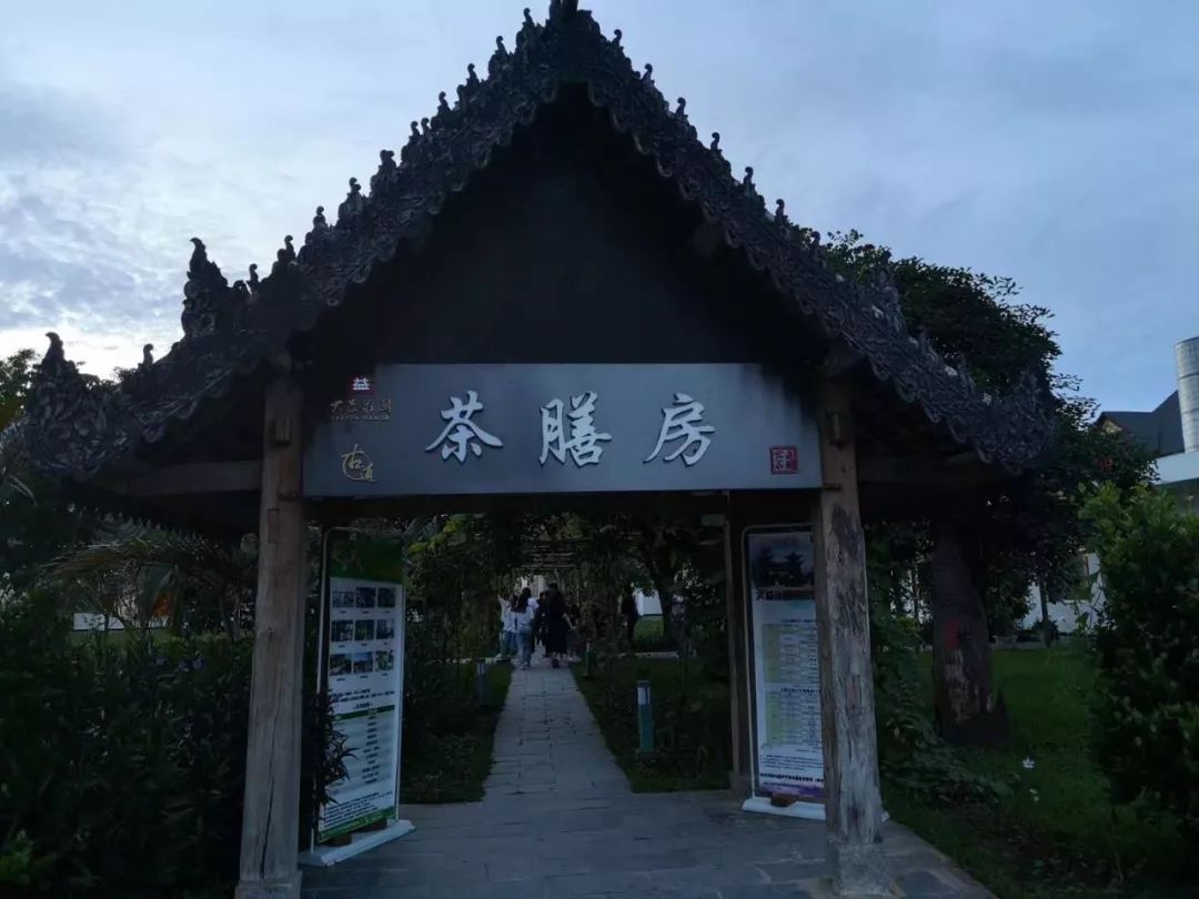 【发现·最美云南】在勐海,大块吃肉,大口喝茶|云南|勐海|大益茶_新浪