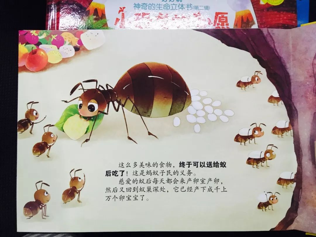 小蚂蚁搬食物,是送给蚁后的哦