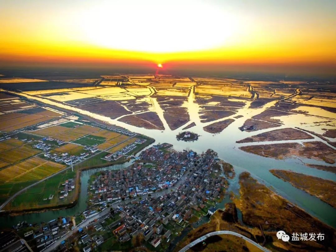 坚持"两海两绿",盐城答好黄海湿地"申遗"这道考题!