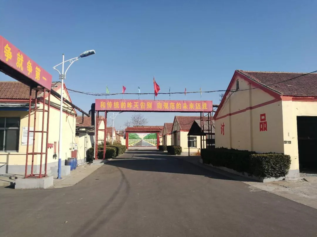 文章配图