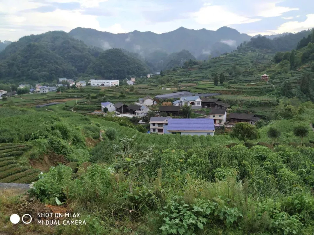 茫茫大山,世外桃源…… 拍摄地点:吉首市隘口村
