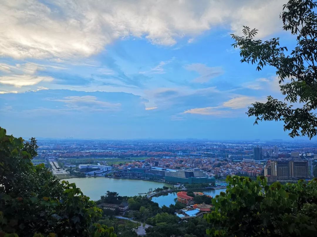 原来有一种蓝叫做西樵蓝.|西樵|西樵镇|关海权_新浪新闻