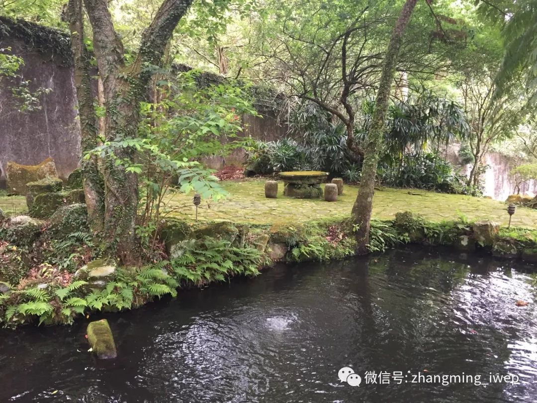 张明 | 2019年中国宏观政策前瞻:货币政策以稳