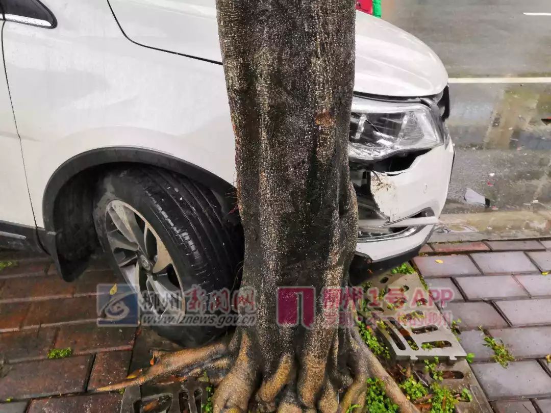 静兰路三车被撞,其中一辆被顶去撞树,肇事车逃逸