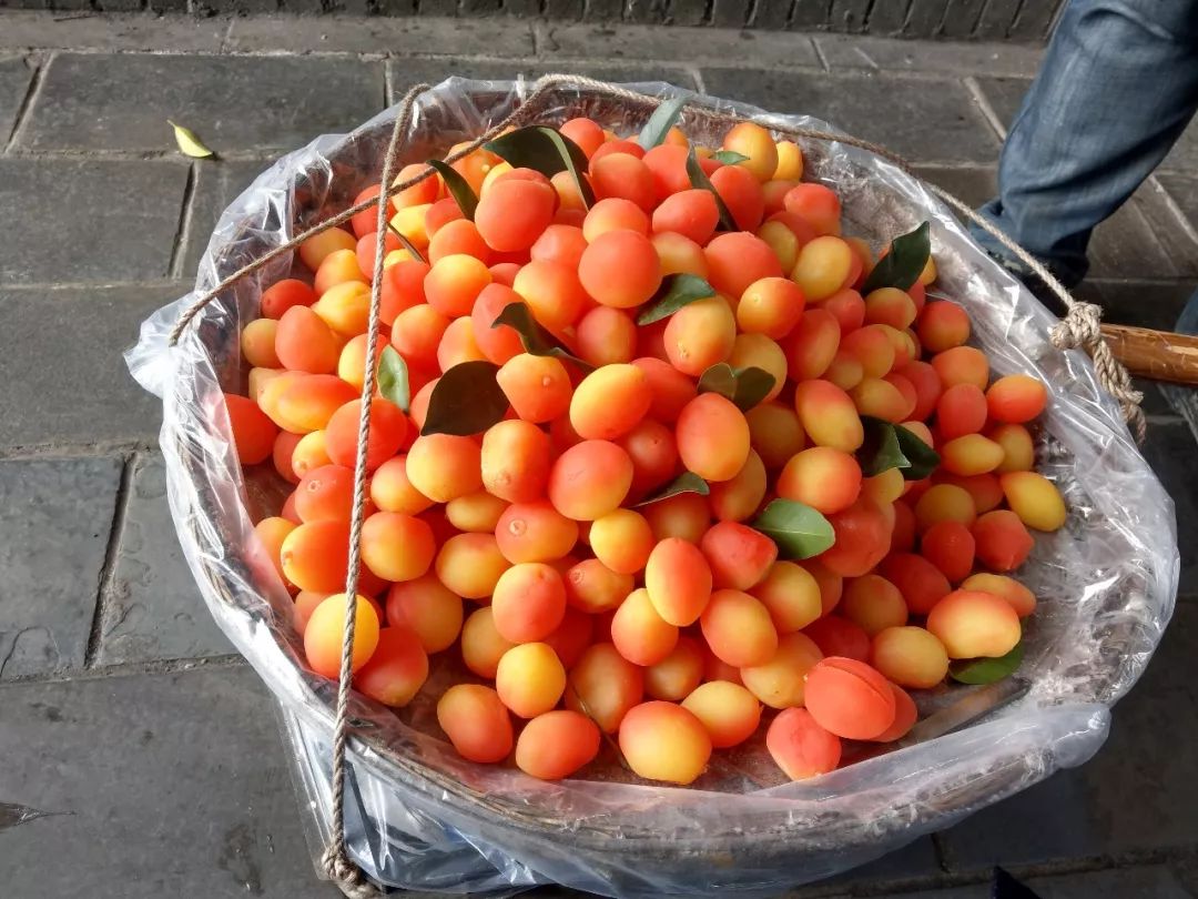 街上卖的这种高颜值网红水果,可能是腌制的…|金堂|水果|西梅_新浪