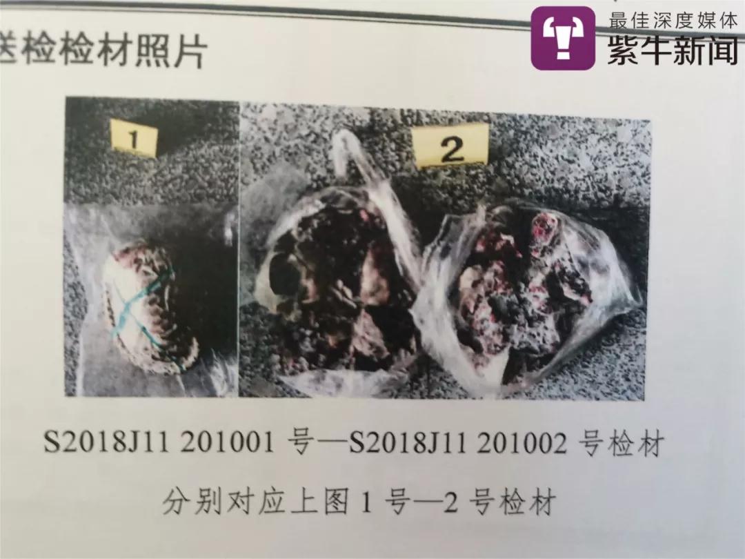 金坛公安查获的穿山甲检验材料照片