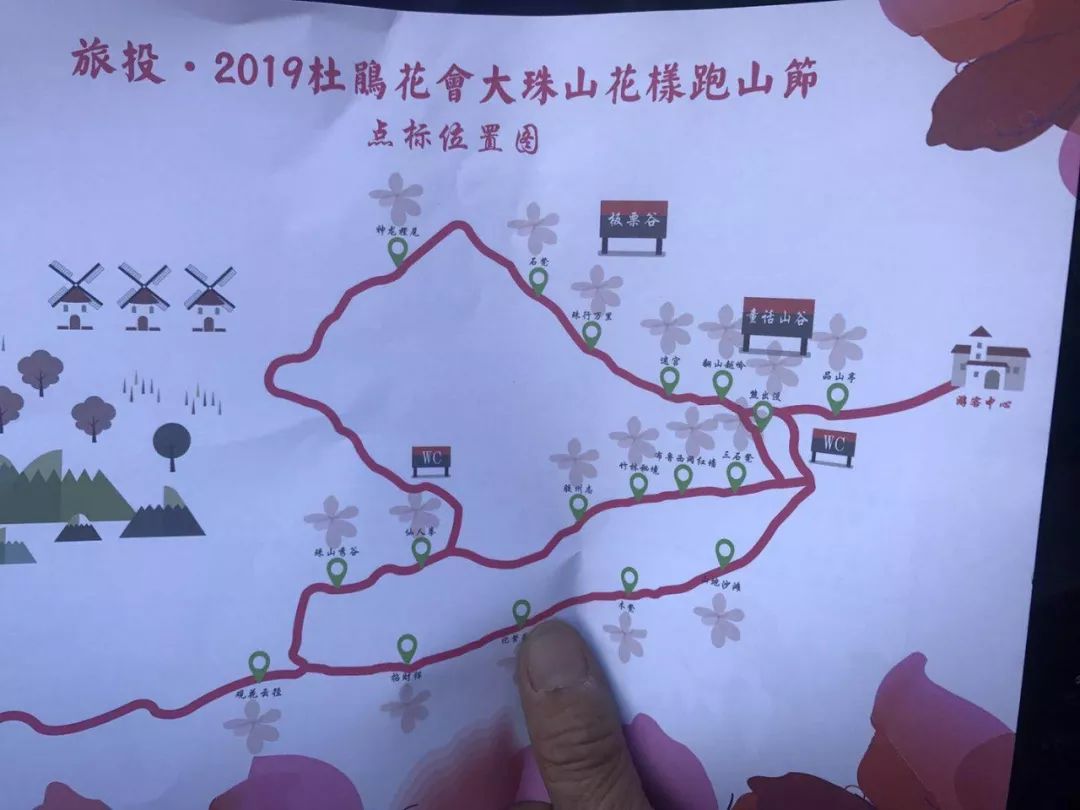 大珠山|杜鹃|杜鹃花_新浪新闻