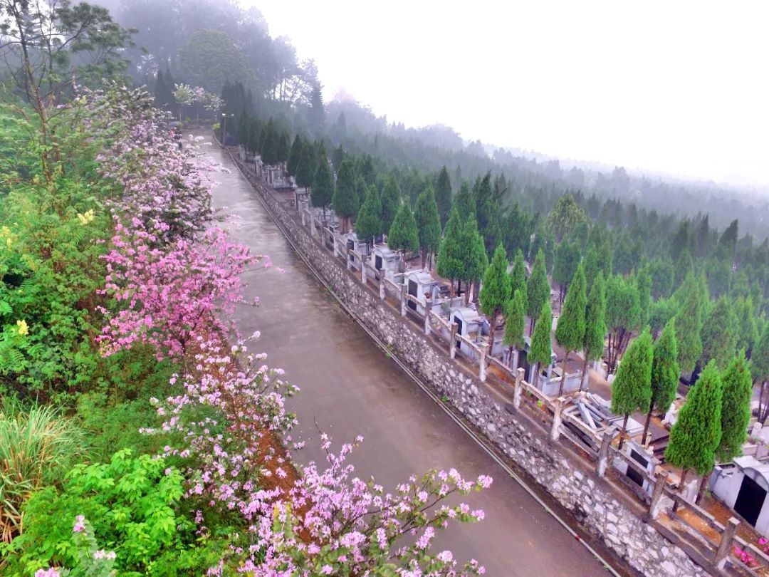 慎终追远,月山公墓周五公众开放日!带您了解"绿色殡葬"