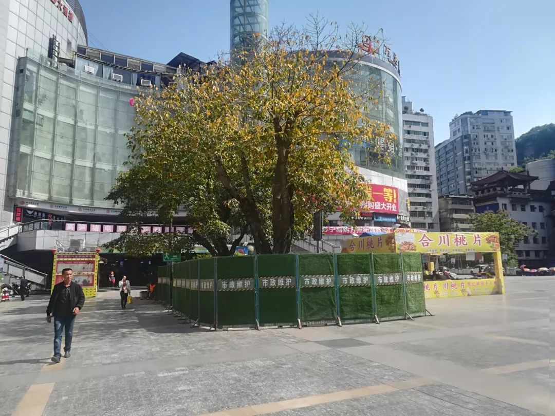 事实上, 在此之前, 天仙湖广场,心连心广场,和平广场的座椅已经