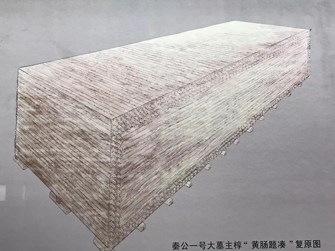 黄肠题凑|秦公一号大墓|车马坑_新浪新闻