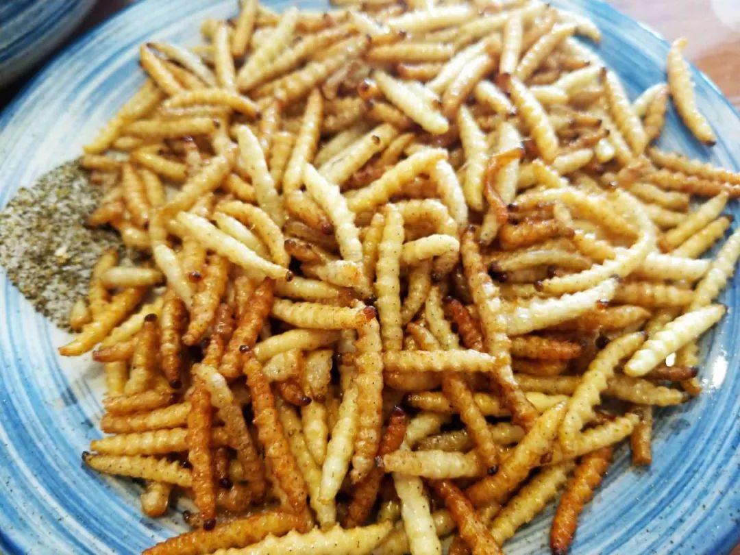 炸竹虫,像油炸蛋白质低头!