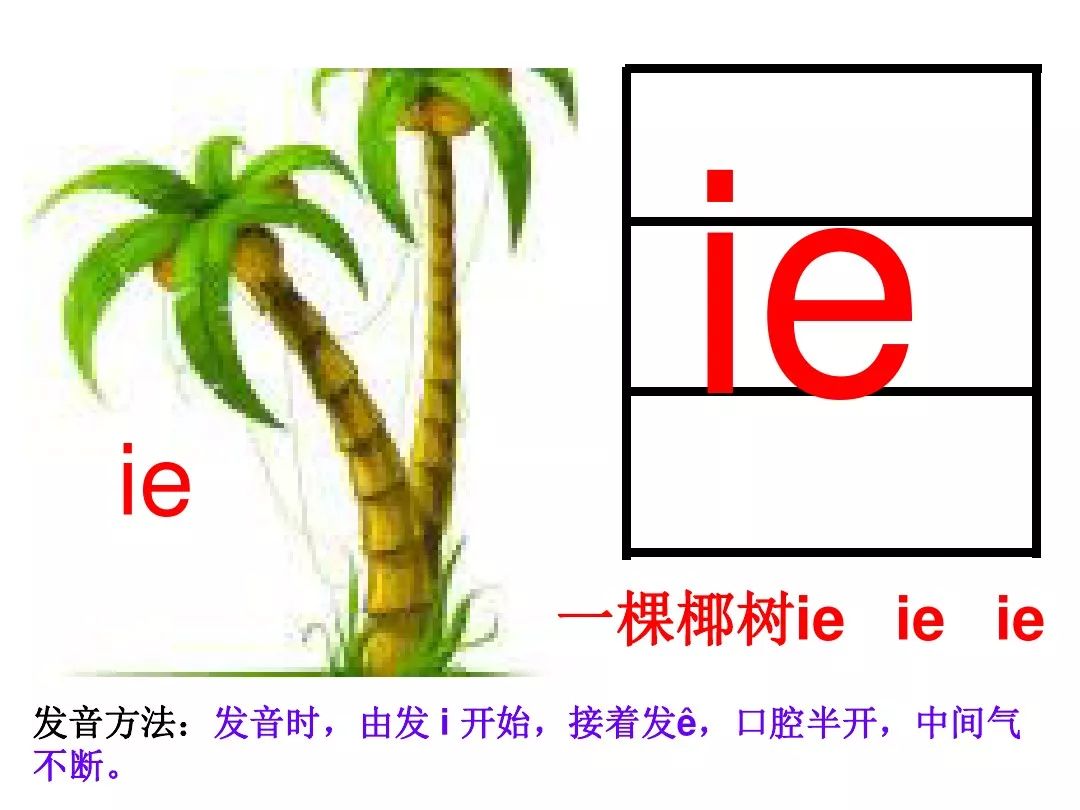【微课堂】统编版一年级上册汉语拼音11《ie üe er》知识点+图文解读+课文朗读