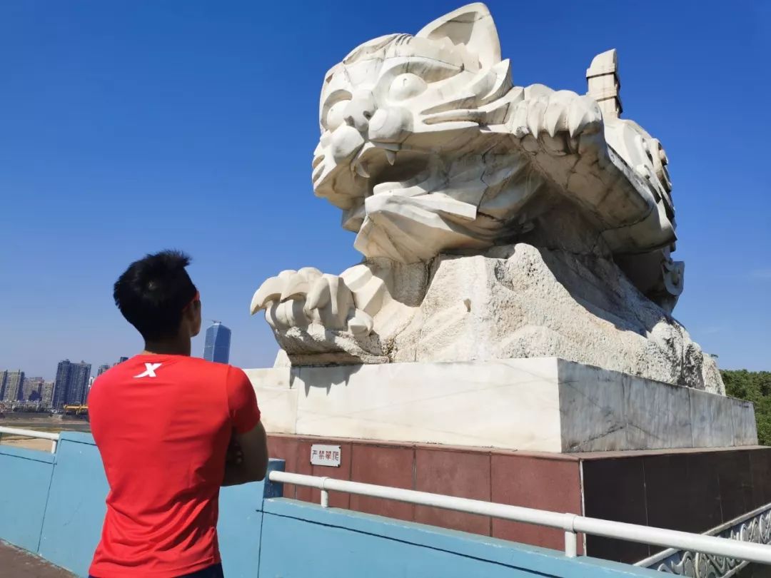 八一大桥桥头的白猫黑猫雕塑会告诉你,敢于挑战马拉松的每一位选手都