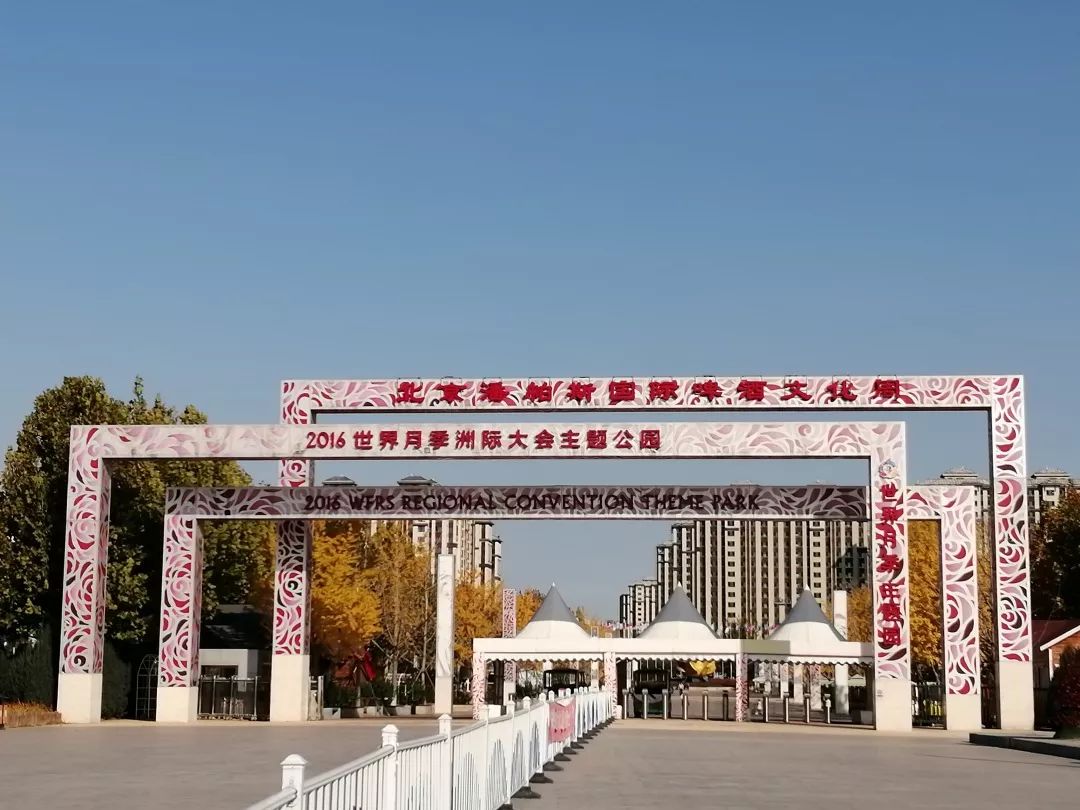 2019北京乡村振兴故事5大兴区魏善庄镇