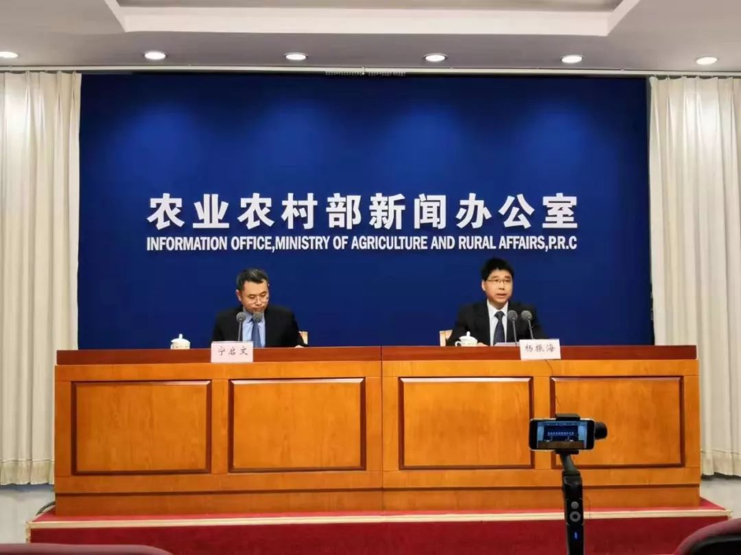 全国生猪生产整体止降回升，11月生猪价格回落