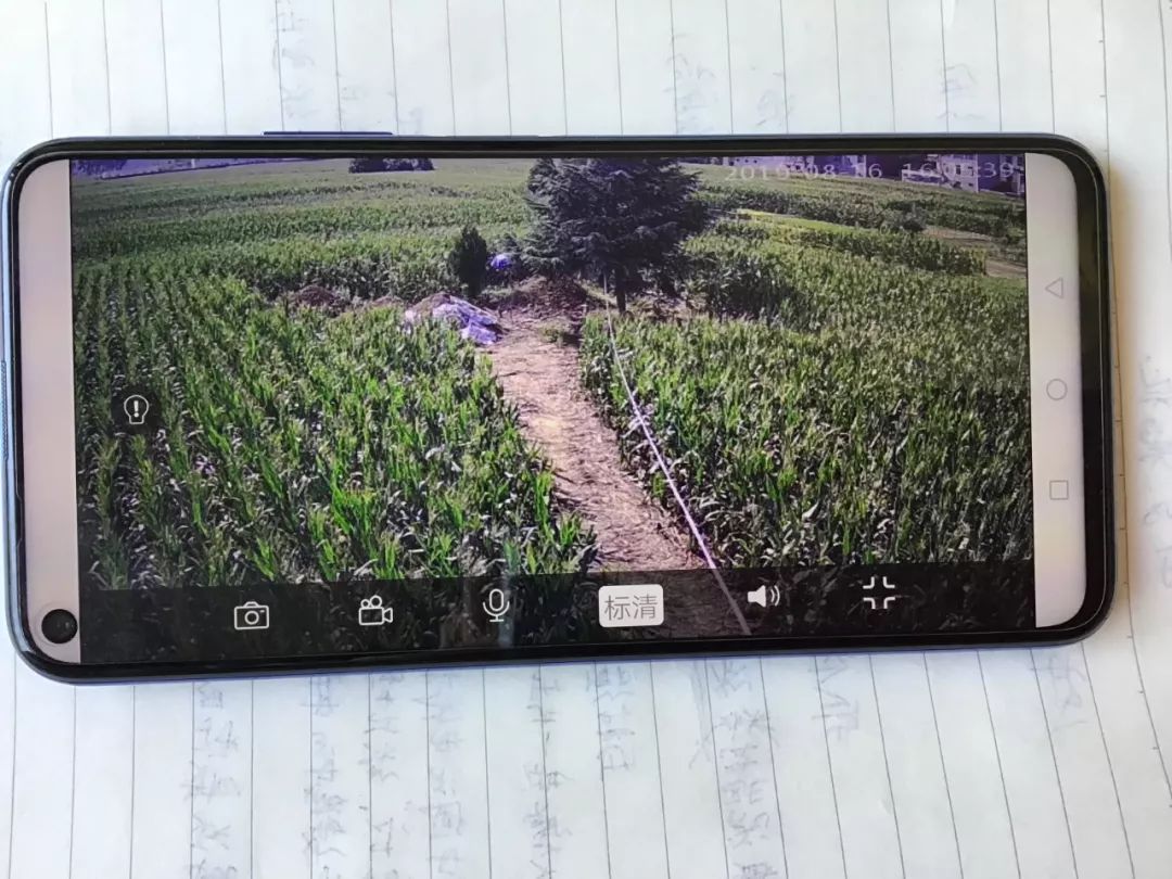 任强通过手机,查看母亲坟地的监控画面,防止遗体被盗。新京报记者魏芙蓉 摄