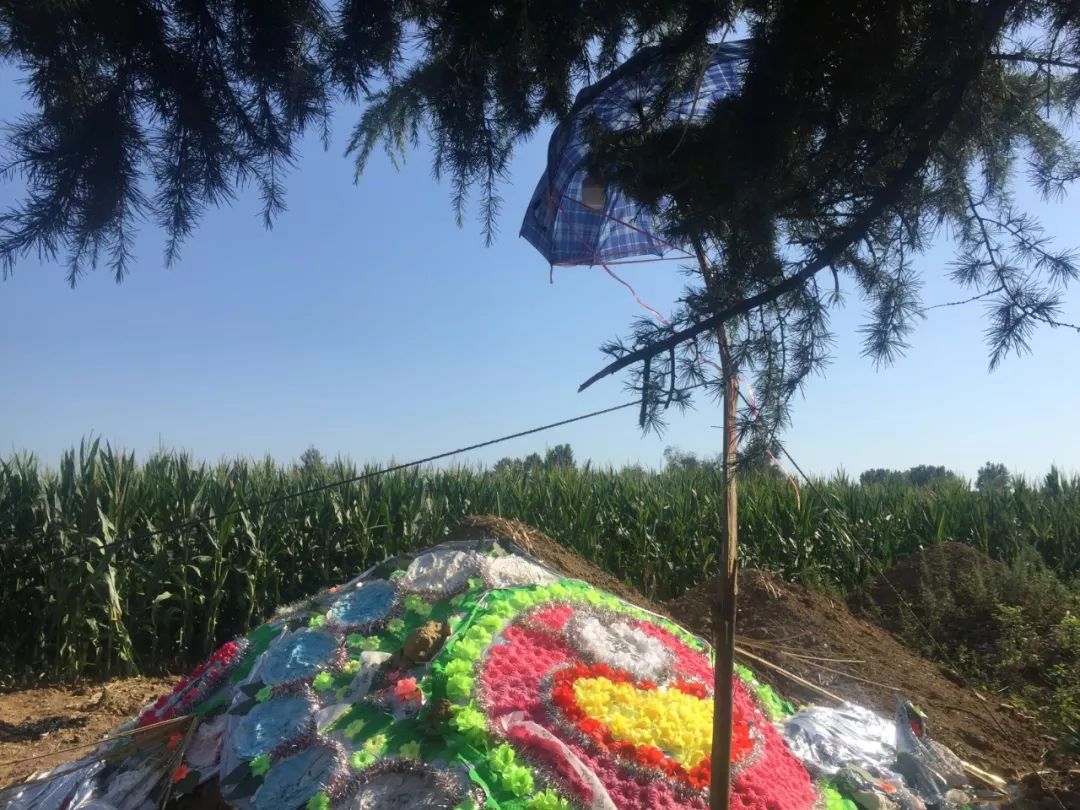 河南村民任强母亲去世后,他在坟地装上摄像头。新京报记者魏芙蓉 摄