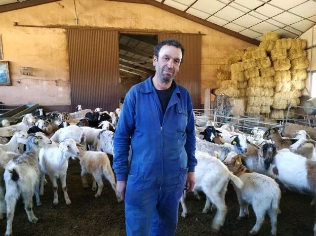 西班牙推出 农民相亲巴士 ,牧羊人的爱情很难找