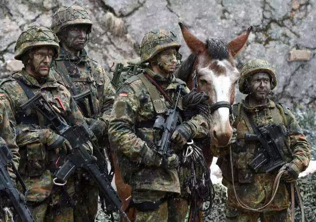 最后的德意志骑士:消逝在血色硝烟中的二战德军王牌狙击手