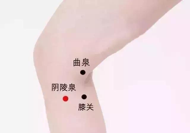 艾灸1个穴位通肝胆5大疾病全解决