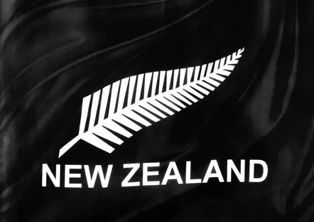 2019橄榄球世界杯第一场半决赛落下帷幕,新西兰all blacks国家橄榄球