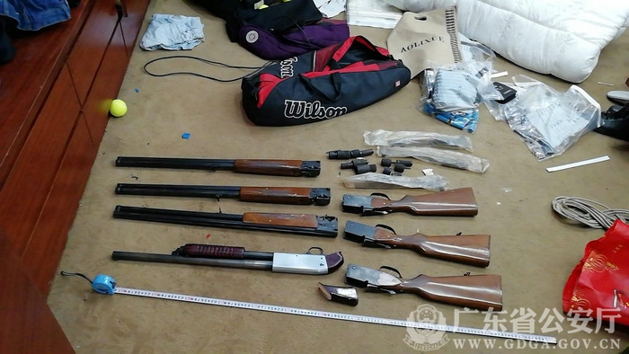 省督涉黑专案成功收网宁智强团伙被摧毁