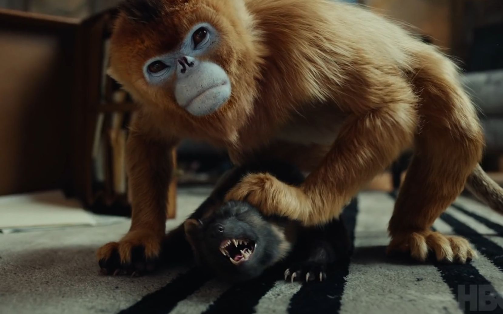 开了好头的《黑暗物质》,没想到是因为一次飞机意外而来