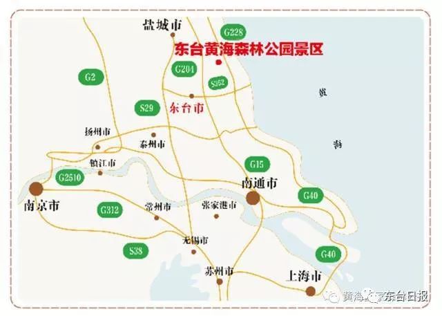 (高德地图输入:"黄海森林公园")景区地图◆本期编辑:小小钱◆您的建议