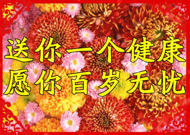 小年群相册太美太漂亮了送给群里的每一位朋友