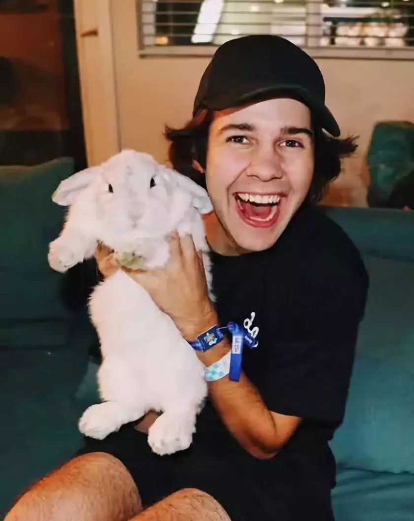 david的网红事业做得非常成功,去年年收入已经超过60万美元,现在身价