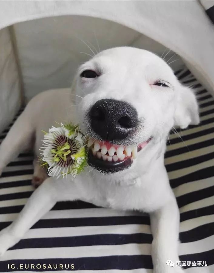 深悦读丨那些让你会心一笑的瞬间…突然一下觉得全世界好美.