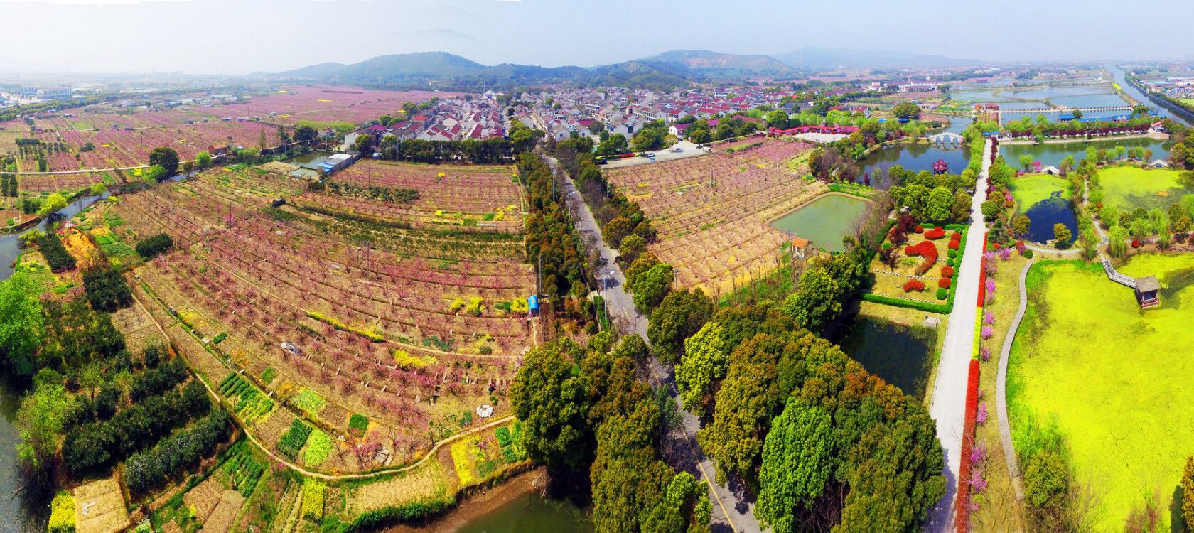春天里,雪堰十里桃花遍地盛开,花期半个月,内附赏花活动__财经头条