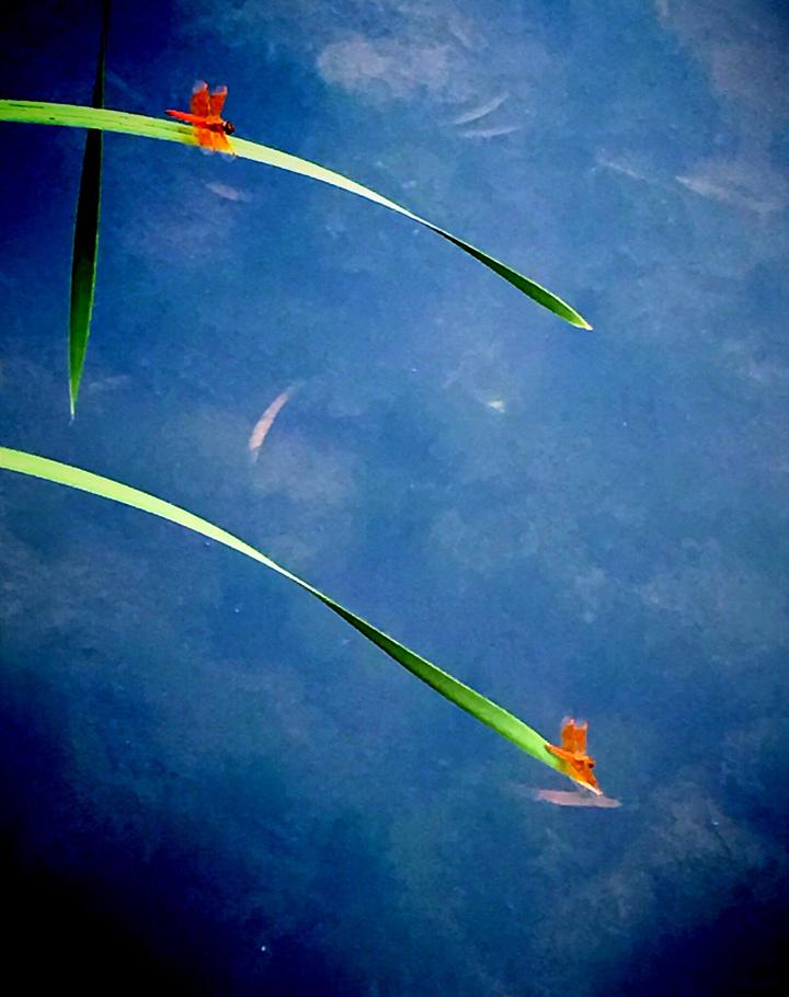 摄影师驾到 | 金华人眼中的世界(8.7)