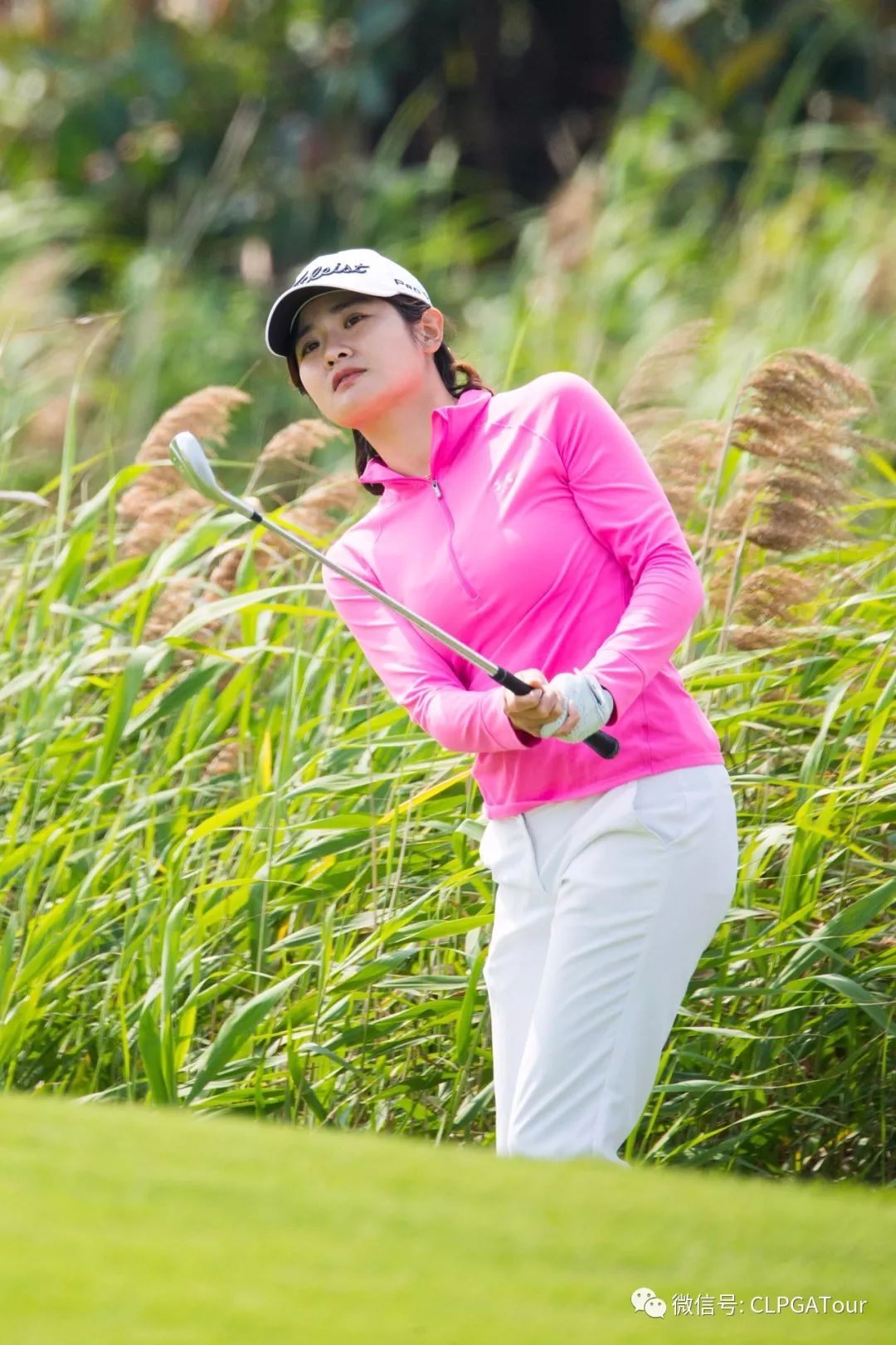 美图| 石昱婷化身春姑娘小清新来袭 隋响目光坚定向冠军前进