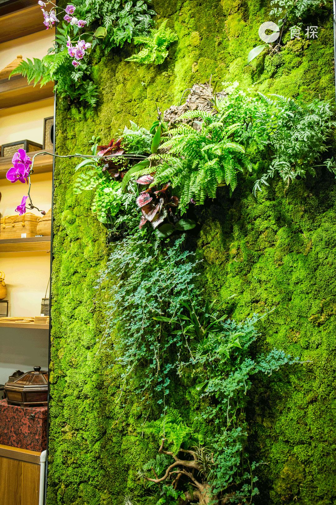 深圳最适合春天逛的彩色小镇先带你探探有什么吃