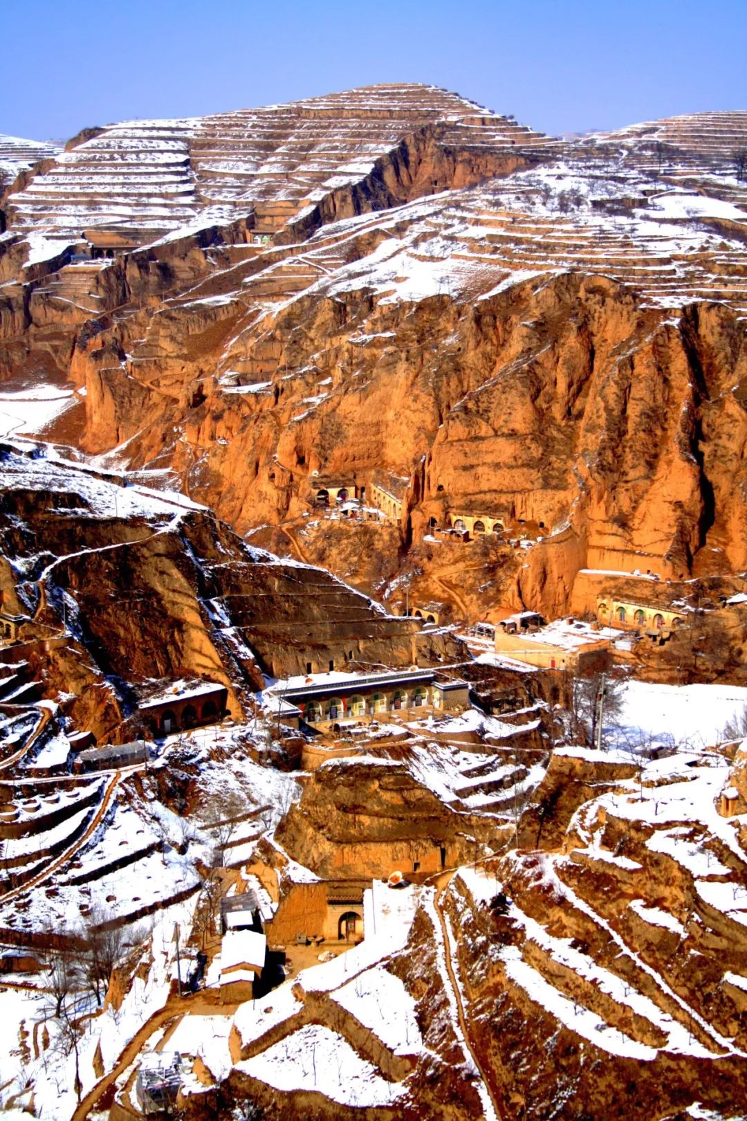 悦读| 黄土高原为什么这么苦难?为什么这么伟大?