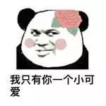 ▲图片来自网络