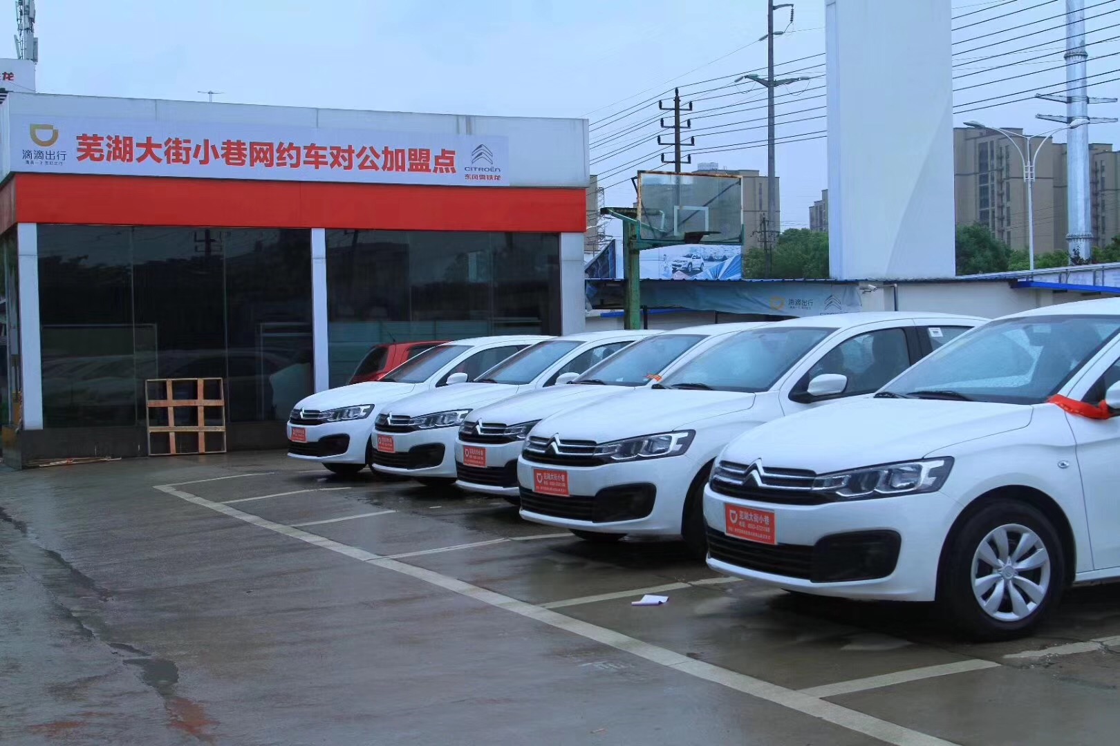 新版《网约车细则》出台后,大街小巷公司按照相关标准采购了一批新车。